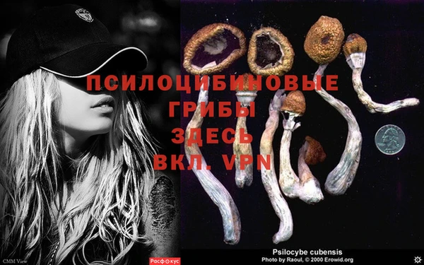круглые Арсеньев