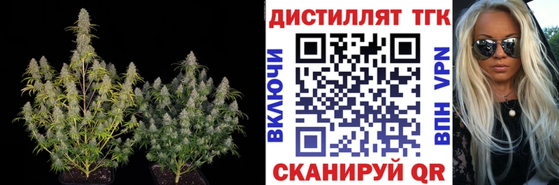 ОМГ ОМГ онион  Спасск-Дальний  ТГК вейп 